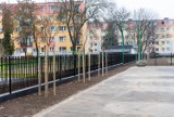 Nowe ogrodzenie i drzewa wokół Powiatowej Biblioteki Publicznej oraz Powiatowego Zespołu Szkół Policealnych w Wejherowie