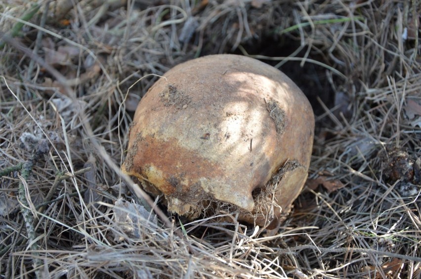 Ludzkie szczątki znalezione w Czarnem