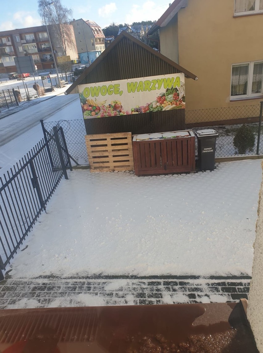 Biała zima wróciła do powiatu puckiego. Marcowy śnieg zaskoczył, choć nie poleżał zbyt długo. Jak wyglądała ośnieżona ziemia pucka? | FOT