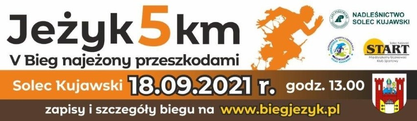 Festiwal Biegowy w Bydgoszczy, Nocna Dycha w Toruniu i Jeżyk w Solcu