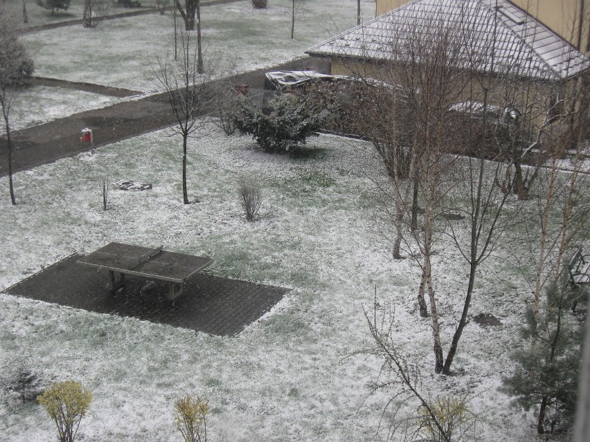 Zima na Bajana. Zdjęcie nadesłane przez internautkę