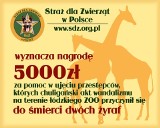 5 tys. zł nagrody za chuliganów z łódzkiego zoo