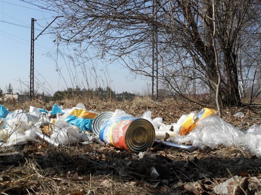 Radomsko: akcja Sprzątanie Świata 2019 już od najbliższego piątku