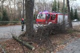 Okolice Wąbrzeźna. Silny wiatr przewrócił drzewo w Wałyczu