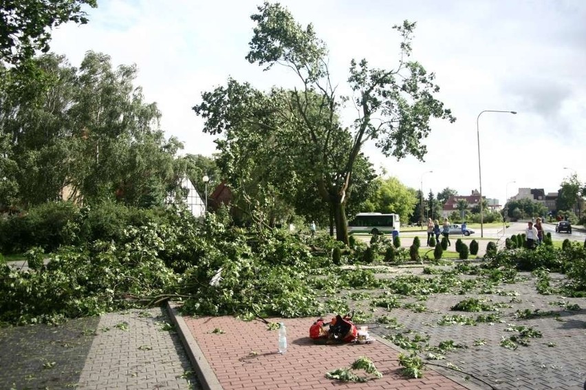 Piła: Trąba powietrzna nad miastem. Wyrywała drzewa z korzeniami! [ZDJĘCIA]