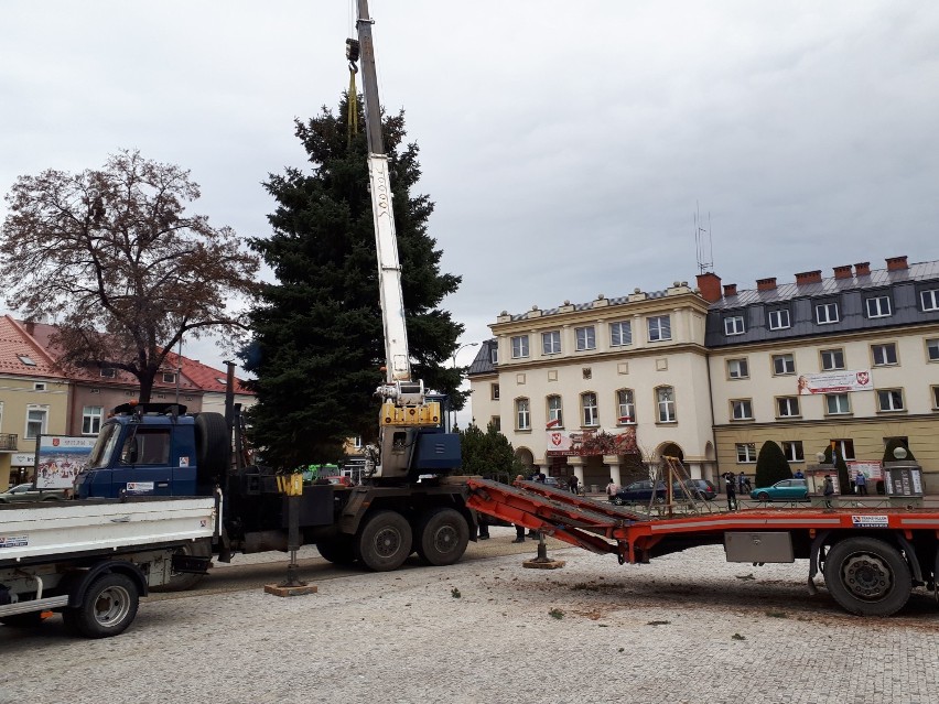 Na Rynku w Jaśle stawiają choinkę. Wieczorem rozbłyśnie setkami świateł [ZDJĘCIA]