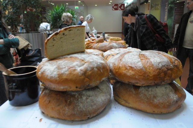 Wędliny, kiełbasy, pieczenie, pasztety, smalec wiejski, chleby pełnoziarniste, pierogi, oscypki, miody, sękacze, piwa tradycyjne. To wszystko będzie można kupić na Festiwalu Smaków w Galerii GALA