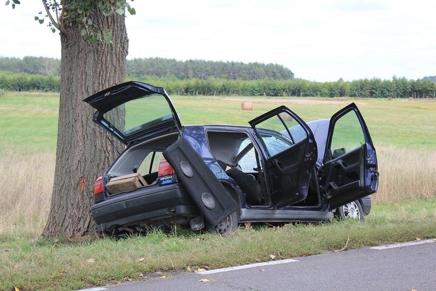 Wypadek w Natalinie: Golf wpadł na drzewo, kierowca zmarł (ZDJĘCIA)
