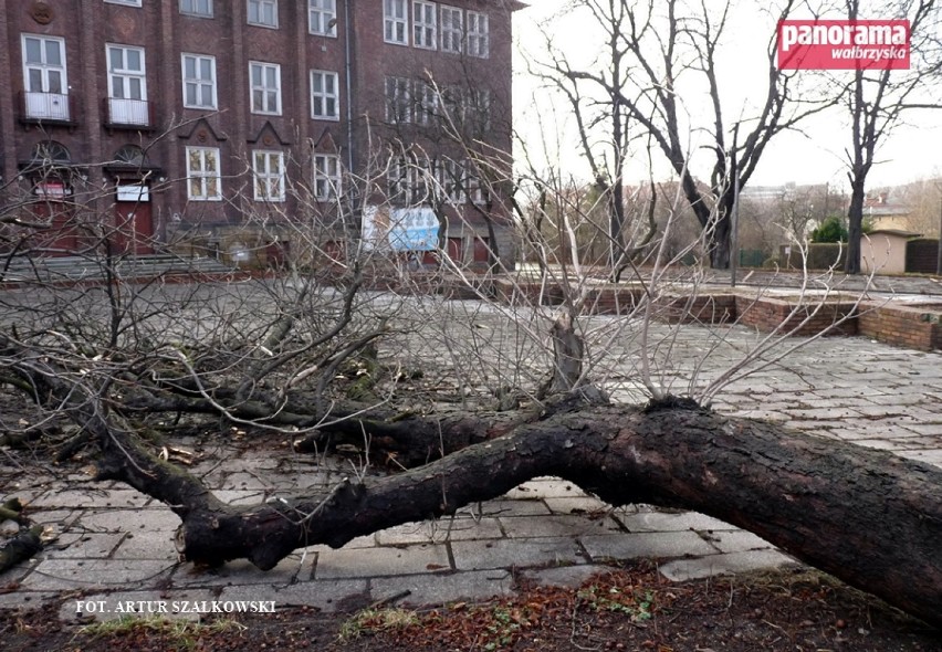 Na szczęście kasztanowiec runął na pusty, ogrodzony plac, a...