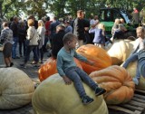 Najpopularniejsze nazwiska mieszkańców gminy Brodnica. TOP 15 najczęściej występujących nazwisk w Brodnicy i okolicach