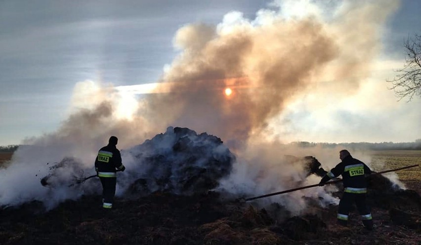 Bardzo długa akcja gaśnicza w gminie Marianowo. Ochotnicza Straż Pożarna w Marianowie: działania trwały prawie 10 godzin. ZDJĘCIA
