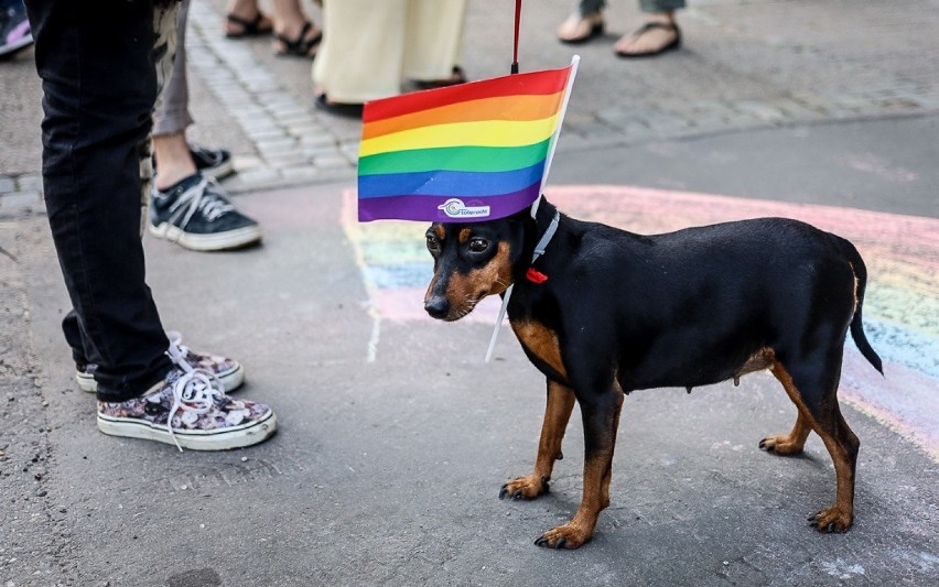 Manifestacja "Świat jest tęczowy" przed biurem PiS w...