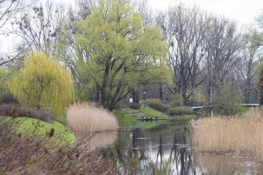 Park Kępa Potocka, który ma blisko 18 ha, to obszar zieleni...