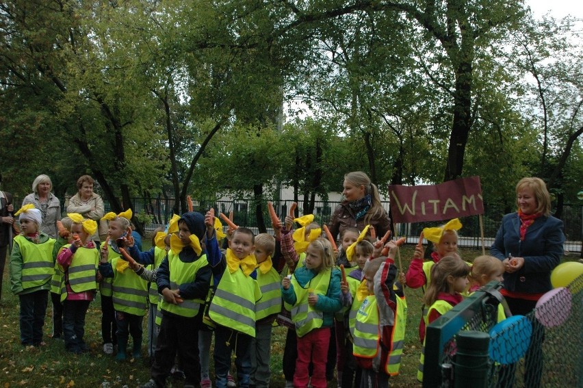 Dzieci ze szkoły podstawowej i przedszkola zgotowały kucykom...