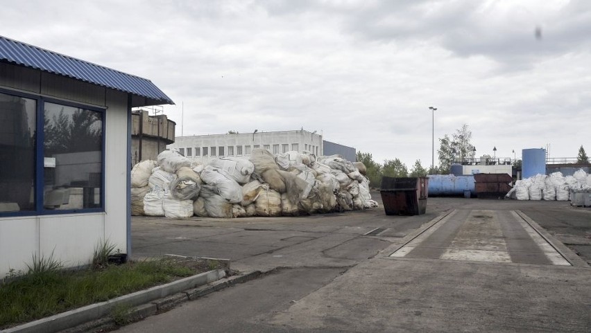 Sprawa Port Service z Gdańska: To urzędnicy pozwolili, by trafiła do nas trucizna
