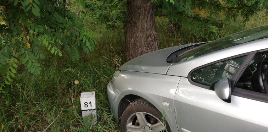 Leszno. Pijany rozbił auto i uciekał do lasu. Obywatelskie zatrzymanie przez wojskowego żandarma [ZDJĘCIA]
