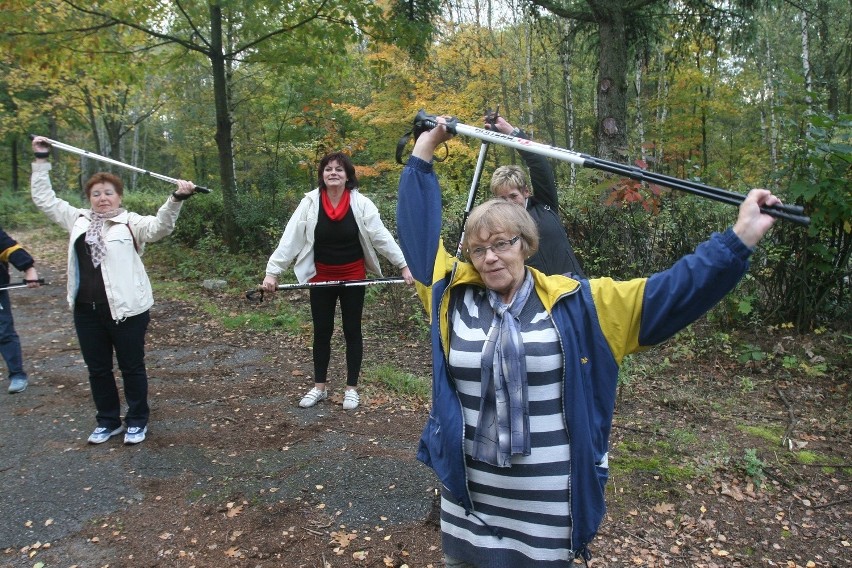 Maraton Nordic Walking w Rudzie Śląskiej [ZDJĘCIA]