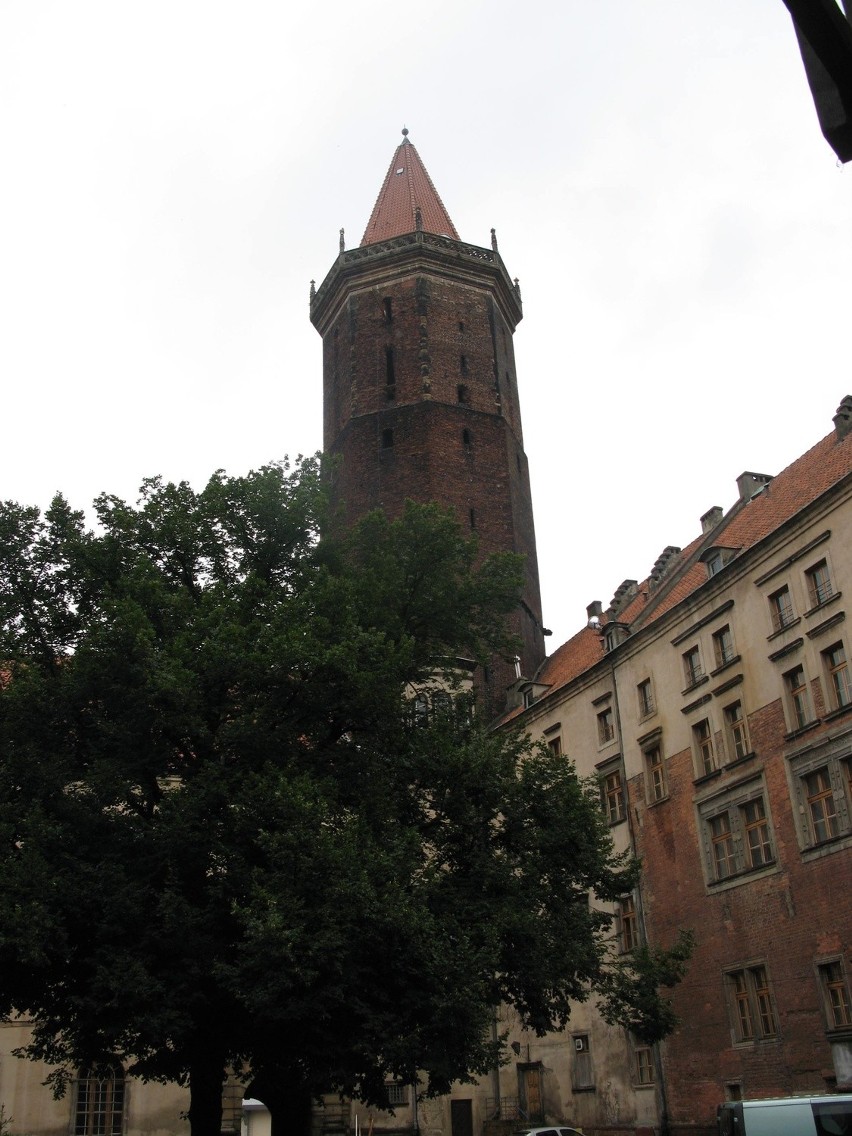 Wrocławianie wyremontują legnicki zamek (ZDJĘCIA)