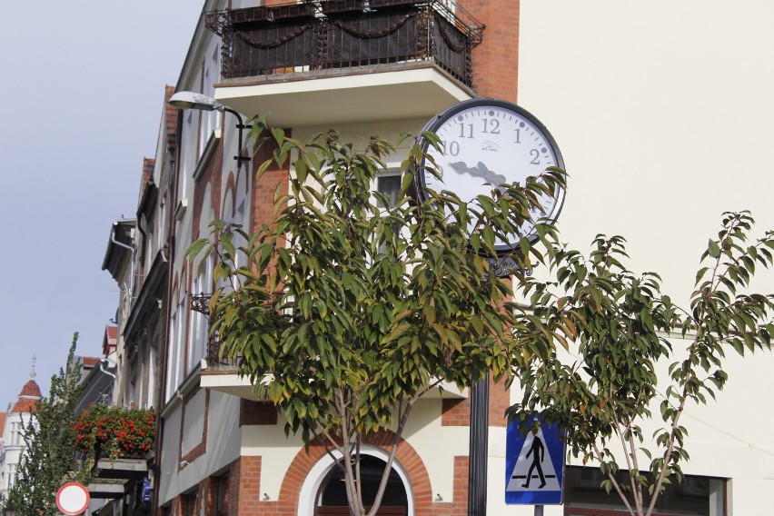 Zegar przy Dąbrowskiego zasłonięty przez nasadzone drzewa? Mieszkańcy pytają, dlaczego?