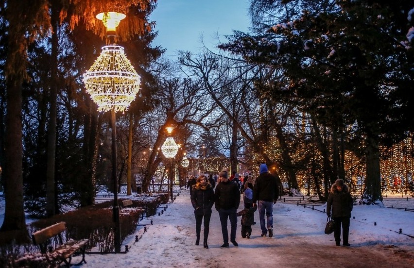 Śnieżne iluminacje w Parku Oliwskim [ZDJĘCIA]