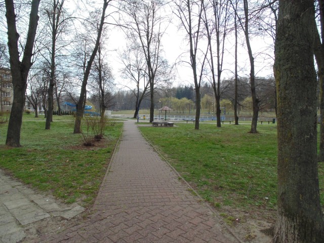 Ruszyła rewitalizacja parku w Poniatowej.