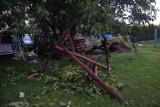 Drzewo przewróciło się na Wodzisławskiej. Pomogli strażacy