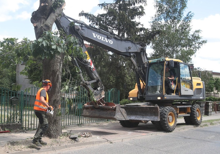 Remont drogi w Bezrzeczu ważniejszy od drzew. Jest umowa między mieszkańcami a starostwem w Policach