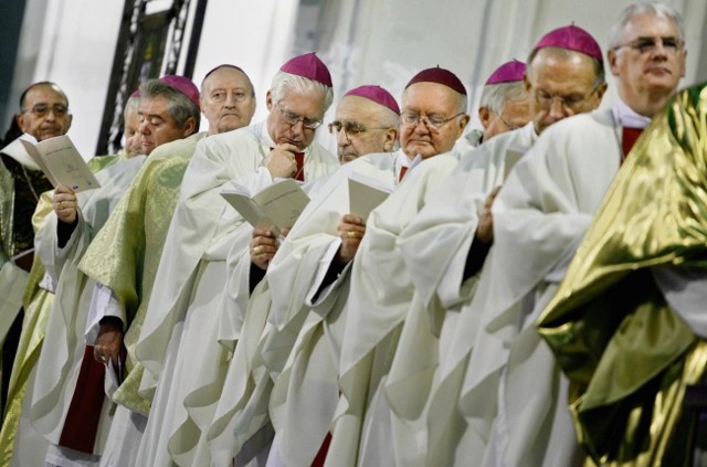 Czerpiąc inspirację z Ewangelii oraz ze społecznego nauczania Kościoła katolickiego, przedstawiamy propozycje rozwoju dobra wspólnego w Europie - głosi apel sygnatariuszy