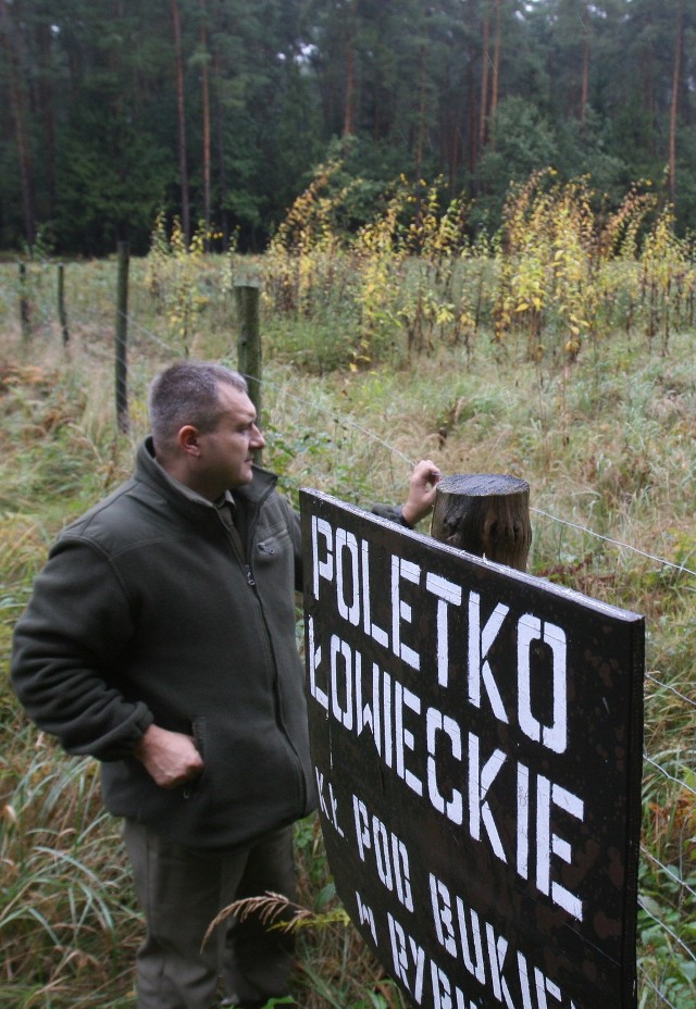 Dzików szybko przybywa- mówi Paweł Hajduk