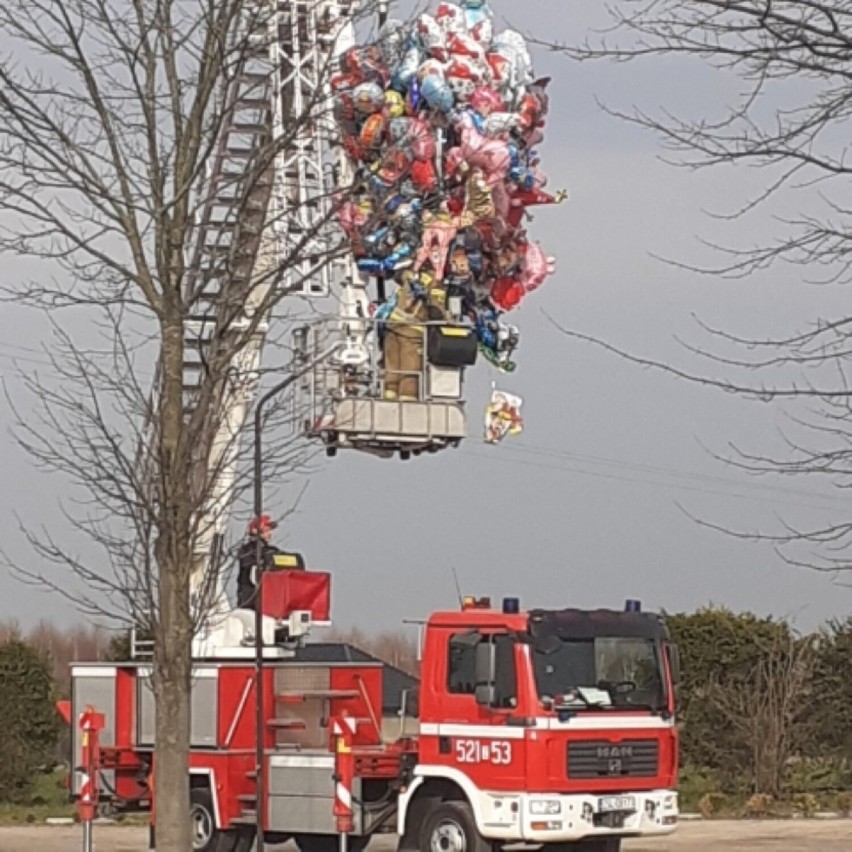 Warszkowo - strażacy zdjęcli balony z drzewa