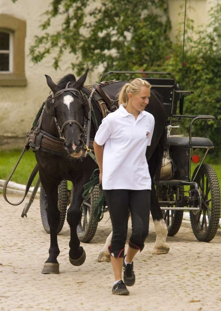 Książ: Próba dzielności koni. ZDJĘCIA