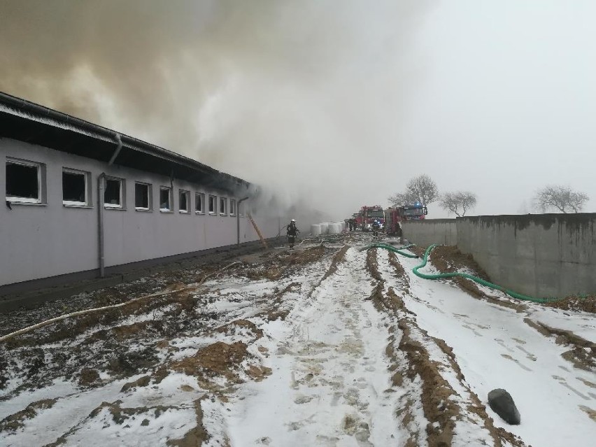 Wielki pożar w Poćwiardowie. Ogień zabił ponad trzy tysiące...