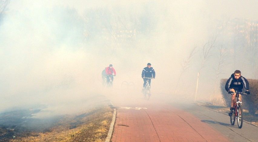 Pożary traw przy ścieżce rowerowej nad Zalewem Zemborzyckim