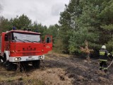 Powiat szydłowiecki. Fotopułapki oraz dron będą walczyć z podpalaczami traw i lasów