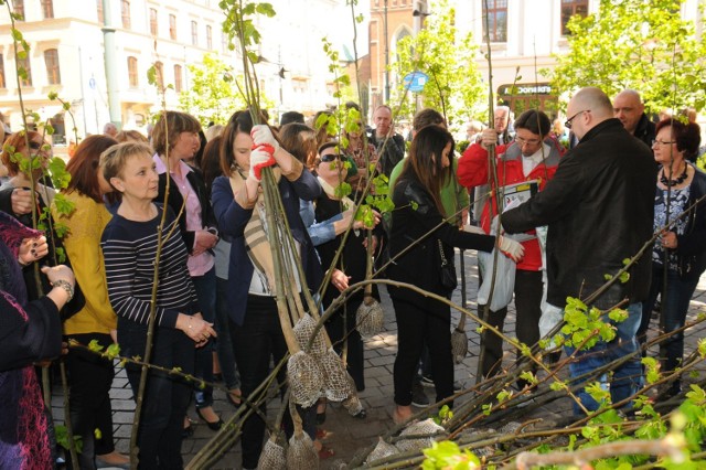 W ramach kampanii „Kraków w dobrym klimacie” i walentynkowej akcji "Pokochaj planetę" za elektrośmieci można otrzymać sadzonki.