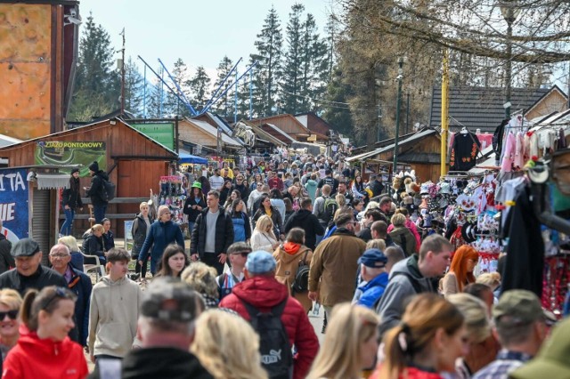 Piękna sobota przyciągnęła na Gubałówkę prawdziwe tłumy. Nie ma się co dziwić. Było słońce, piękne widoki, a także krokusy