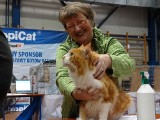 Wystawa kotów w Skierniewicach [ZDJĘCIA]