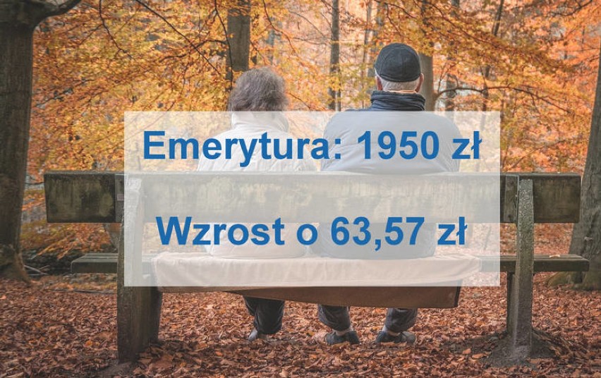 Emerytury 2019. Waloryzacja o 3,26 proc. Mamy kwoty podwyżek! Kto dostanie najwięcej? ZUS wyliczył świadczenia 