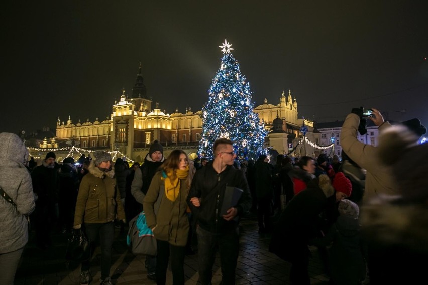 Tak wyglądały choinki na targach bożonarodzeniowych na Rynku...