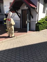Gmina Czermin. Osy zagnieździły się w budynku Urzędu Gminy. Strażacy musieli zneutralizować zagrożenie