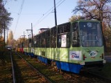 Wypadek tramwajowy w Sosnowcu [ZOBACZ ZDJĘCIA]