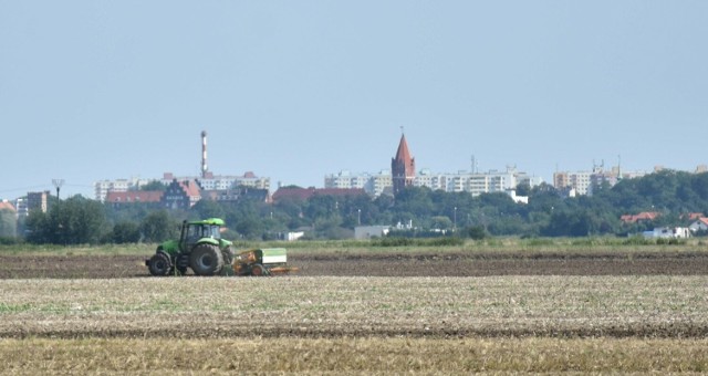 Gmina Malbork z terenami głównie rolniczymi otacza miasto prawie z każdej strony.