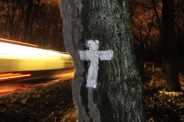 Jeden z krzyży w ciągu tych przy ul. Osobowickiej aż do lasku Osobowickiego