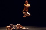 Teatr tańca: Struktury w choreografii są nudne [RECENZJA]