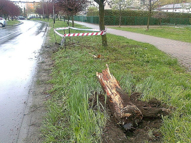 Wypadek w Jaśle. Samochód ściął drzewo