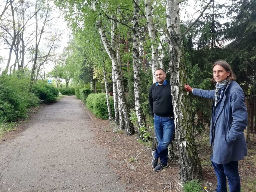 Kilkadziesiąt domków szeregowych przy ulicy Kurlandzkiej na...