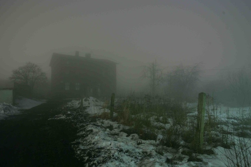 Nagrodzone zdjęcia naszego fotoreportera Arka Goli