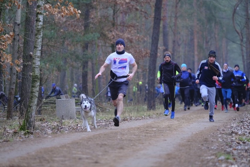 Sobotni Parkrun na toruńskiej Skarpie. Mamy zdjęcia! 