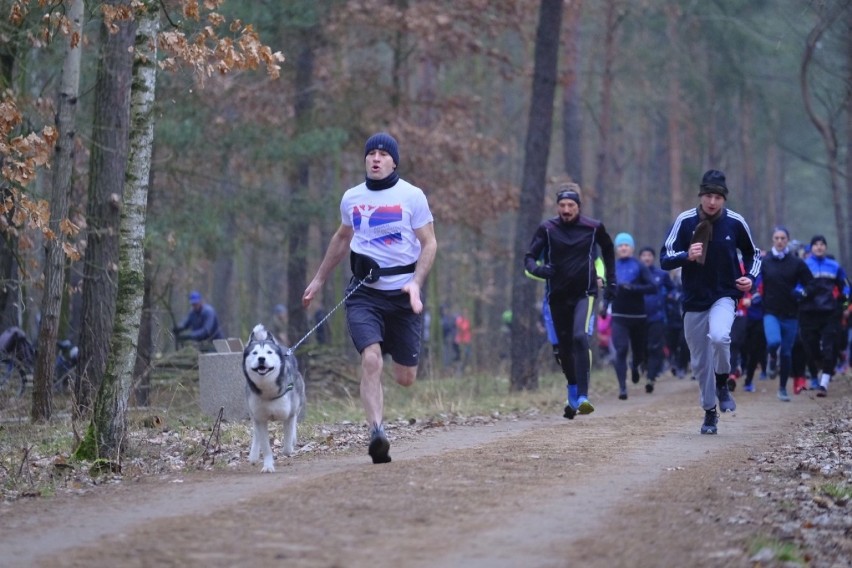 Sobotni Parkrun na toruńskiej Skarpie. Mamy zdjęcia! 