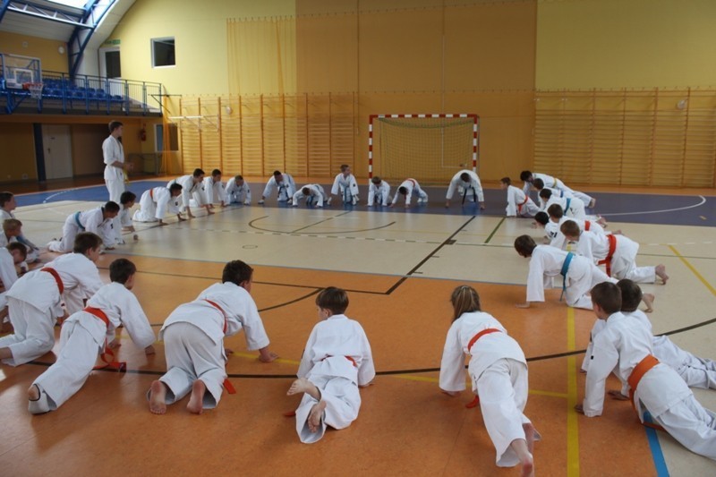 Turniej Karate Kyokushin w Dobrzyniu nad Wisłą